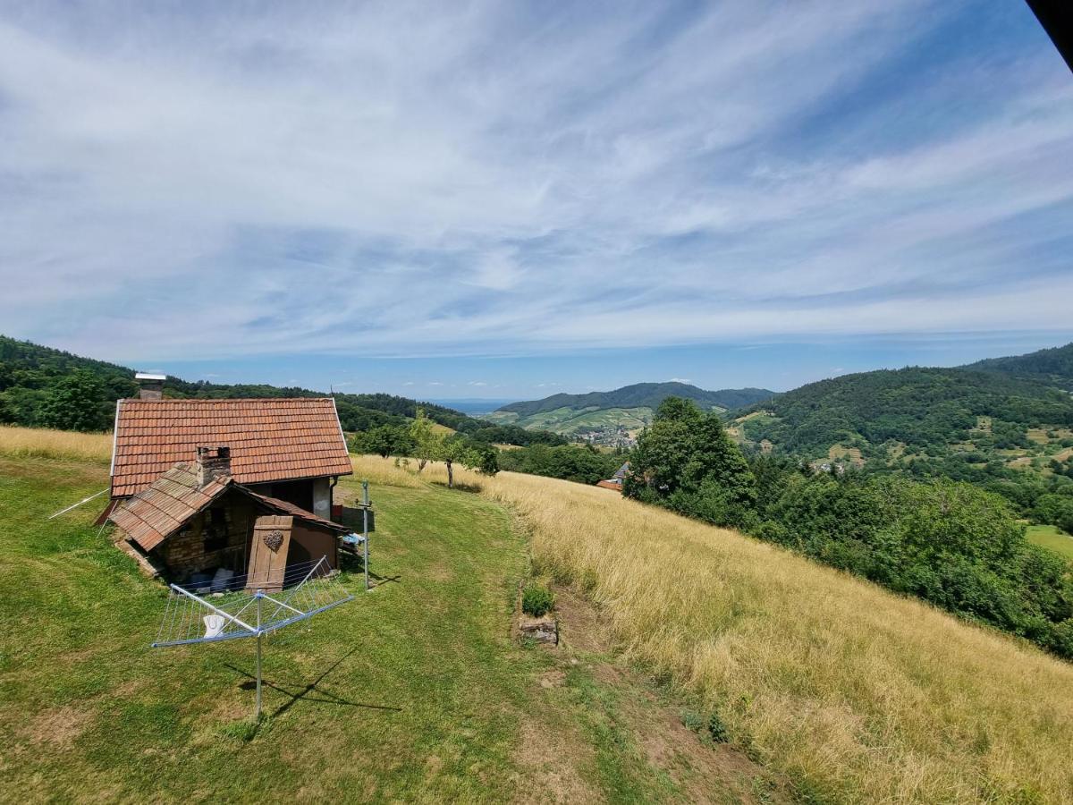 불러탈 Haus Am Berg Mit Wellnessbereich, Bar Und Panorama 빌라 외부 사진