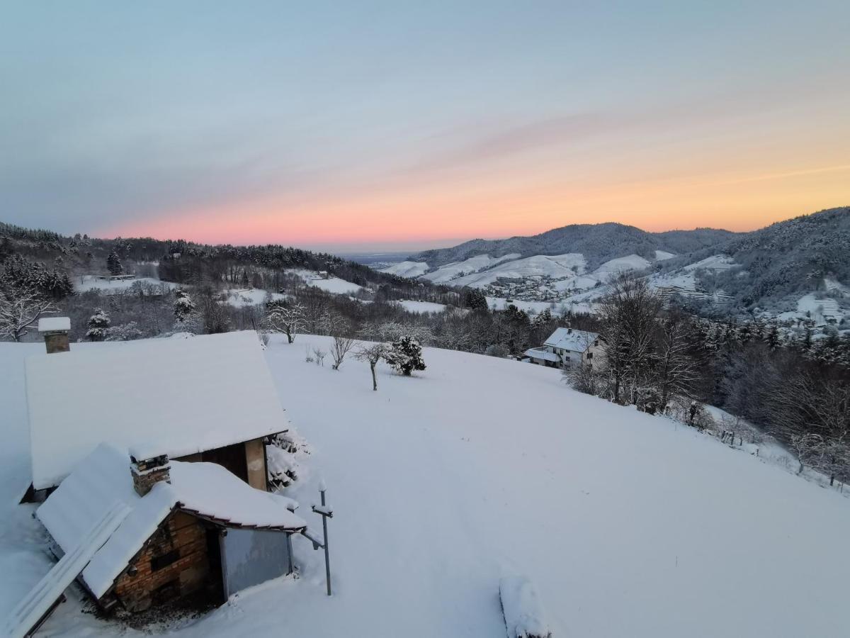 불러탈 Haus Am Berg Mit Wellnessbereich, Bar Und Panorama 빌라 외부 사진